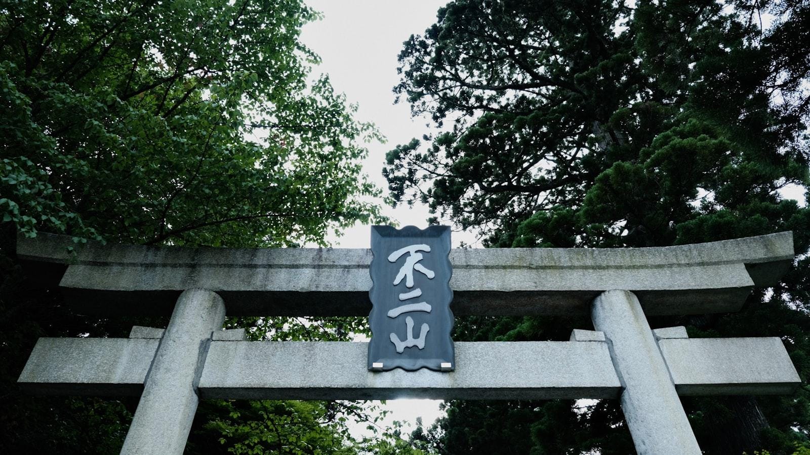 Recomendaciones​ para ⁤la selección​ de ejercicios‌ seguros y efectivos para adultos mayores