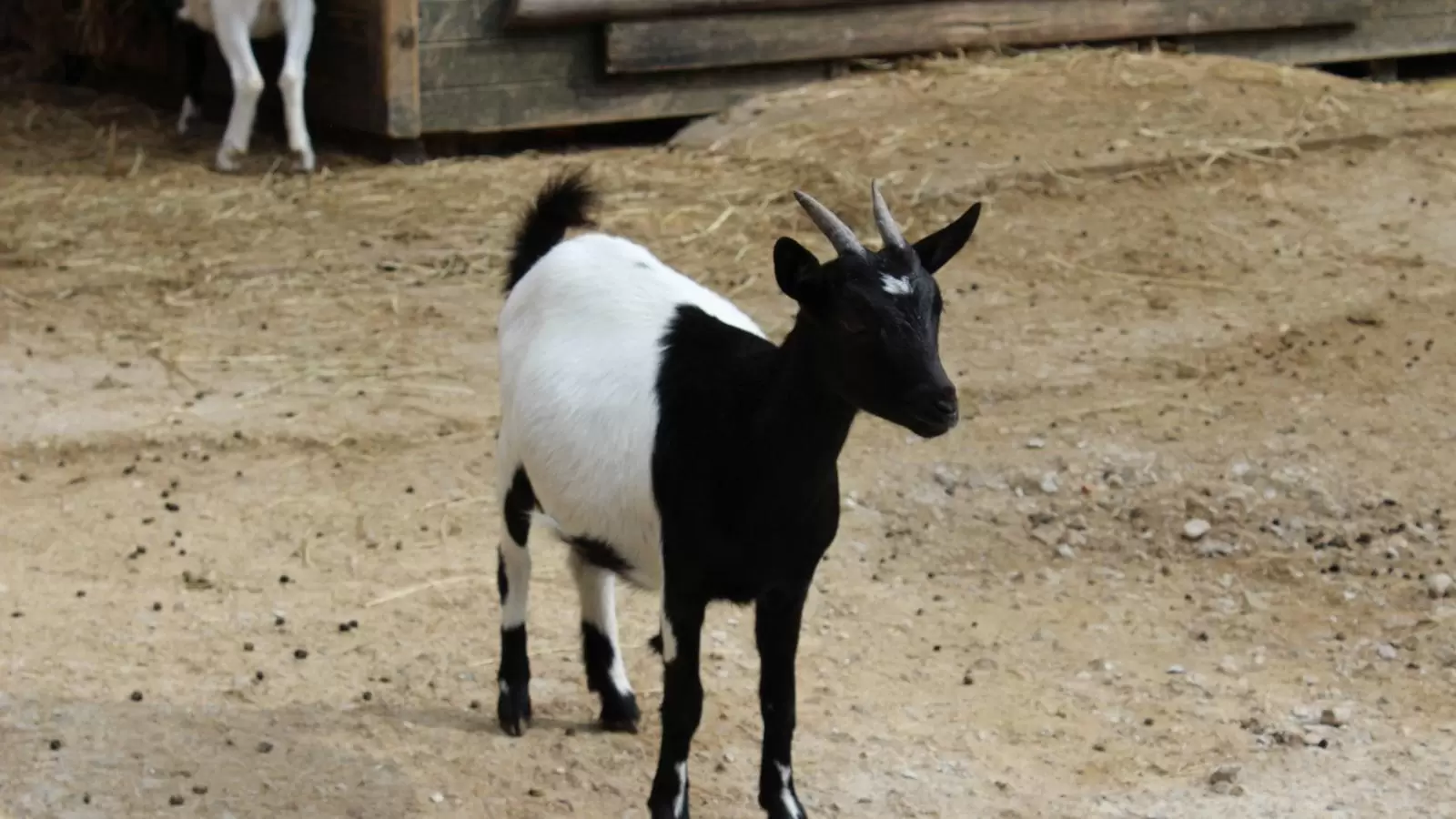 Terapias complementarias más ‌efectivas ​para mejorar la movilidad en pacientes con artritis ⁣reumatoide