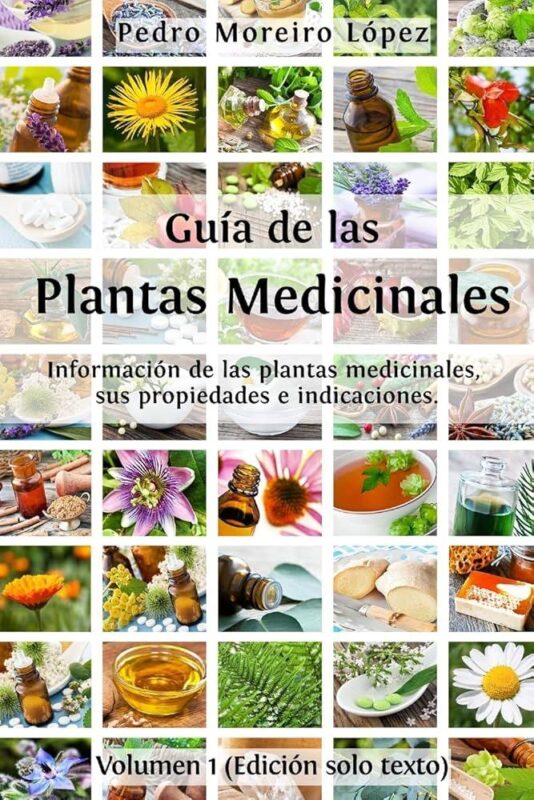 Plantas curativas que ayudan a mejorar la salud en hogares geriátricos en Medellín