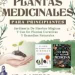 Plantas curativas que ayudan a aliviar los síntomas de la ELA en hogares geriátricos de Medellín