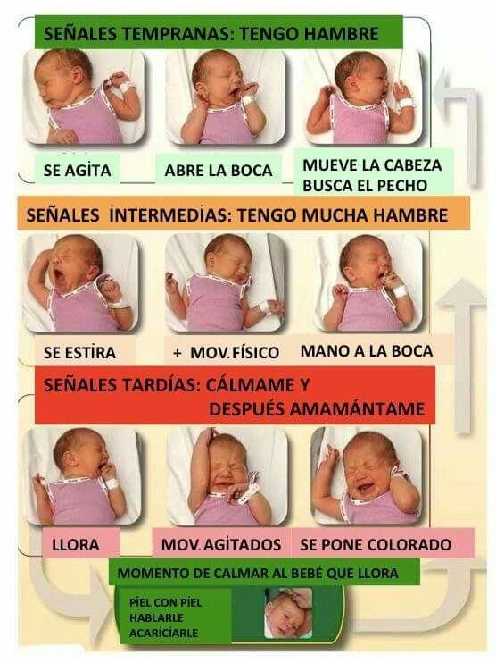 Señales ⁤Tempranas de la ELA en⁤ Personas Mayores