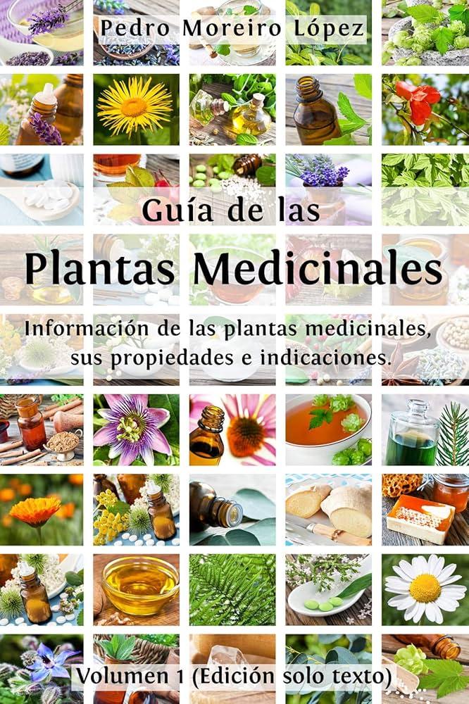 Aspectos a considerar al⁣ utilizar plantas medicinales ​en hogares geriátricos