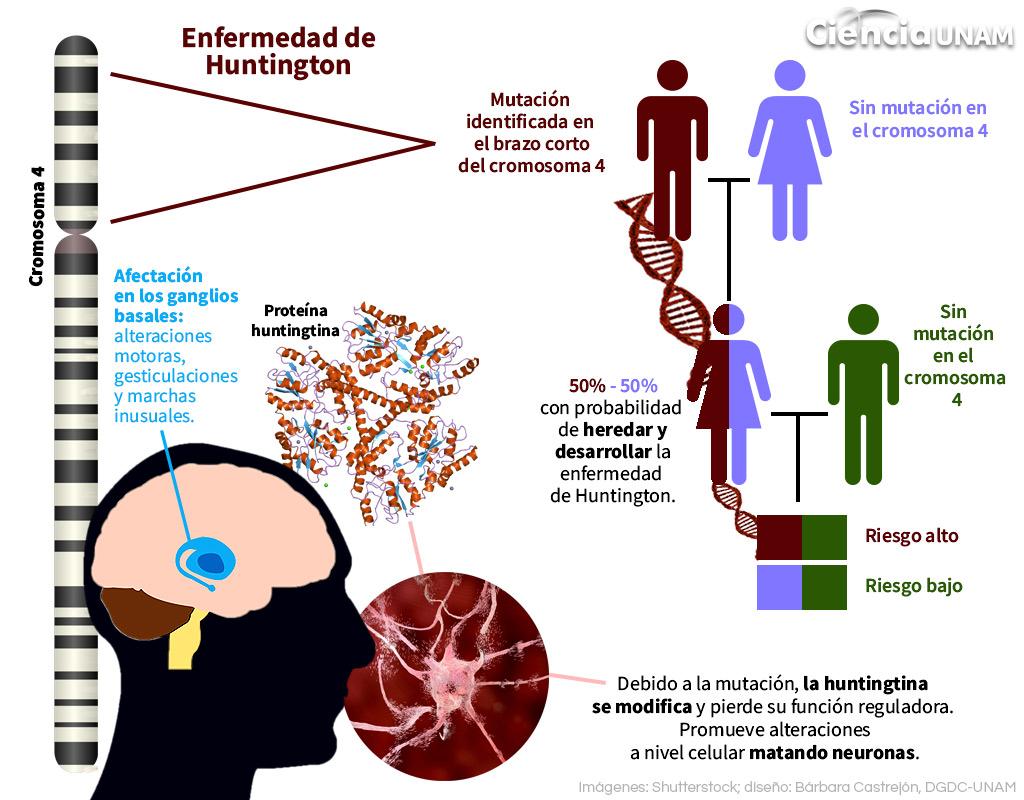 La percepción errónea de la Corea de Huntington en geriátricos de Medellín