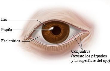 Recomendaciones para controlar el dolor‌ ocular⁢ en pacientes de ⁤la ‌tercera edad con⁤ artritis reumatoide en Medellín