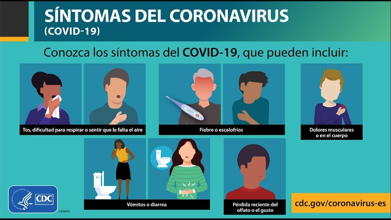 Síntomas y diagnóstico de la Hidrocefalia de Presión Normal en adultos mayores