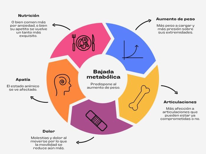 Beneficios de seguir una dieta equilibrada y rica en antioxidantes para el manejo de los síntomas del Parkinson en pacientes mayores en Medellín