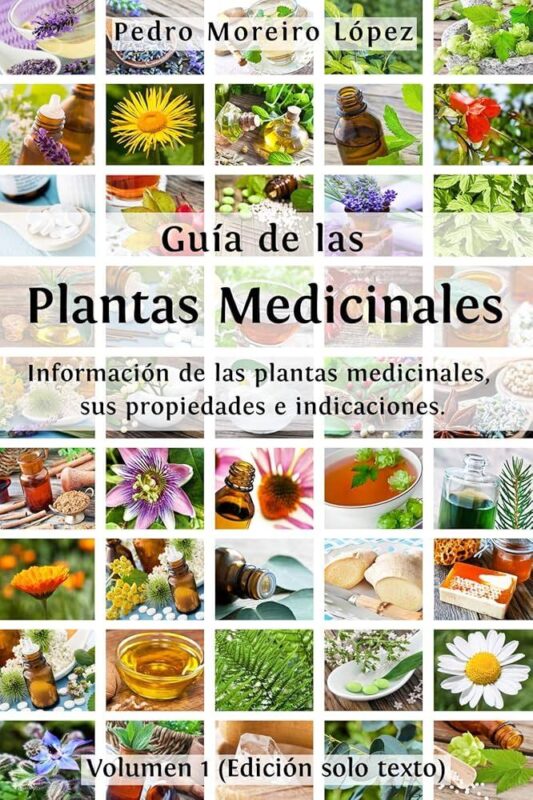 Plantas curativas que ayudan a reducir los síntomas de la Corea de Huntington en geriátricos de Medellín