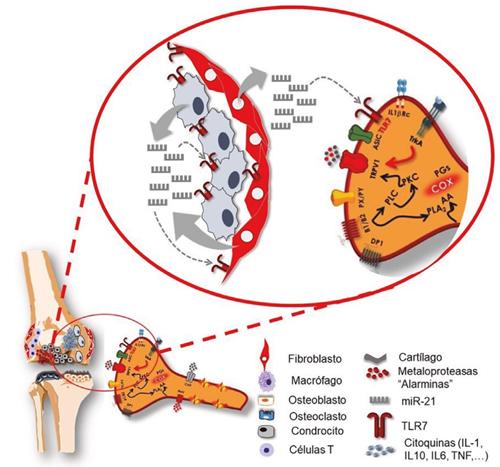 Comparativa de los beneficios de la hidroterapia frente a la terapia convencional en la artritis reumatoide. en Medellín en Medellín