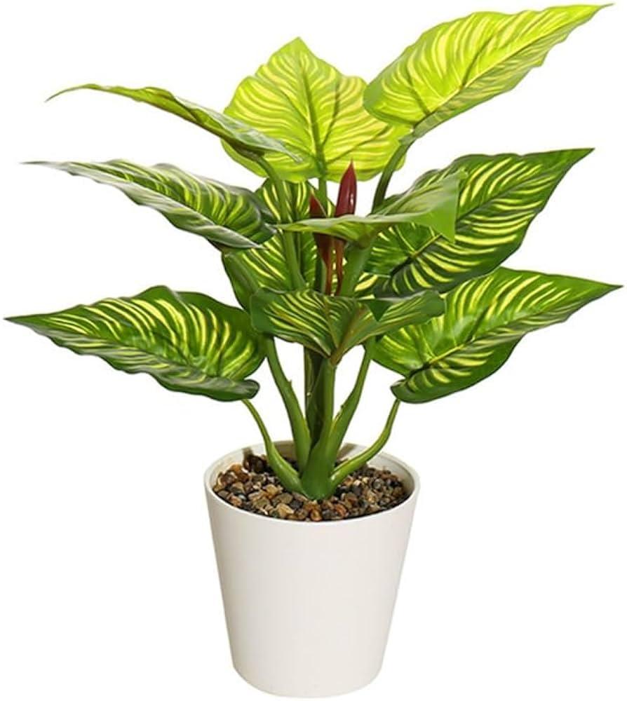 Plantas para reducir la ansiedad y los antojos