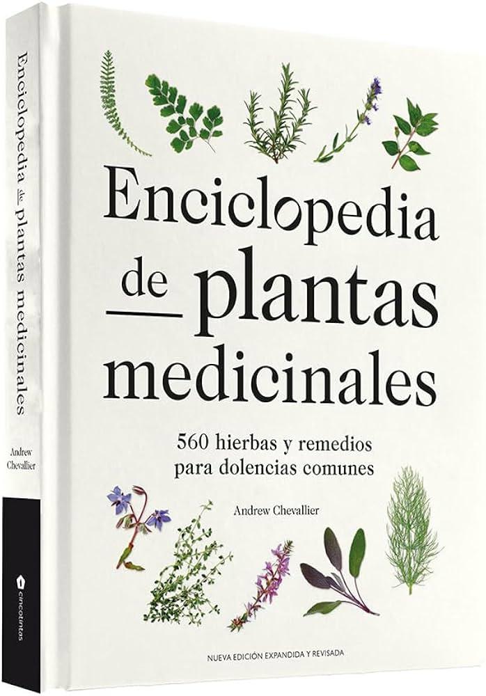 Plantas medicinales‍ para regular los niveles hormonales