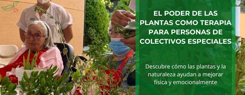 Beneficios de la terapia de plantas en la recuperación de adicciones