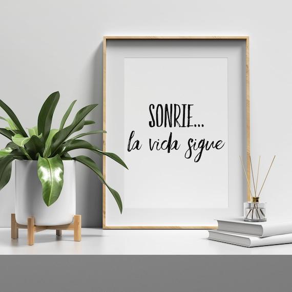 Programas especializados en Sonríe a la Vida
