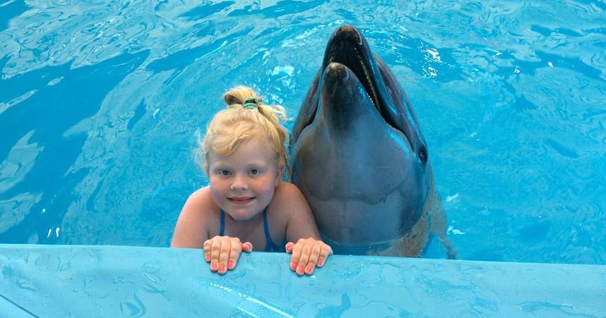 Uso de animales de ⁤terapia para fomentar la interacción social y reducir‌ la⁤ soledad en⁢ personas de la tercera edad