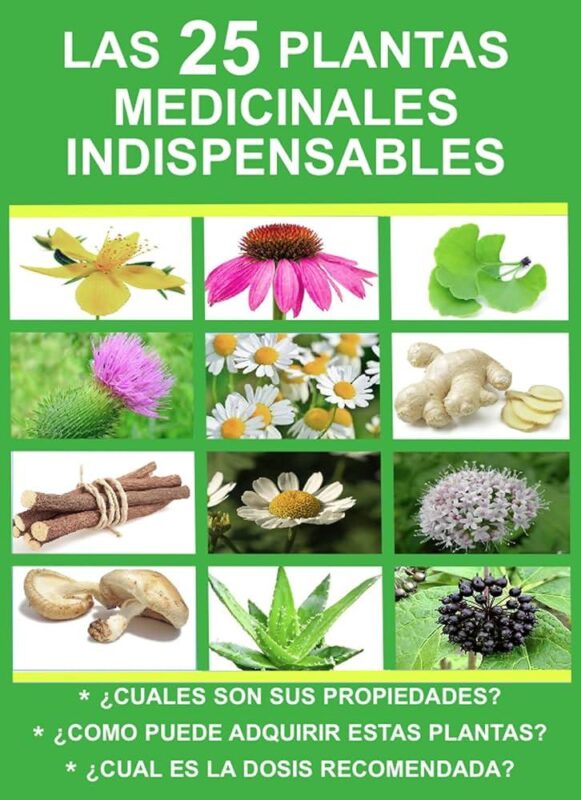 Plantas curativas que ayudan a reducir la presión arterial en adultos mayores en Medellín