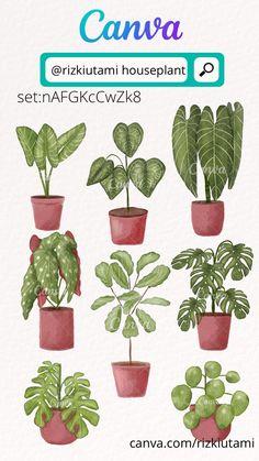 Plantas sobre cómo ayudan en la recuperación de adicciones en Sonríe a la Vida