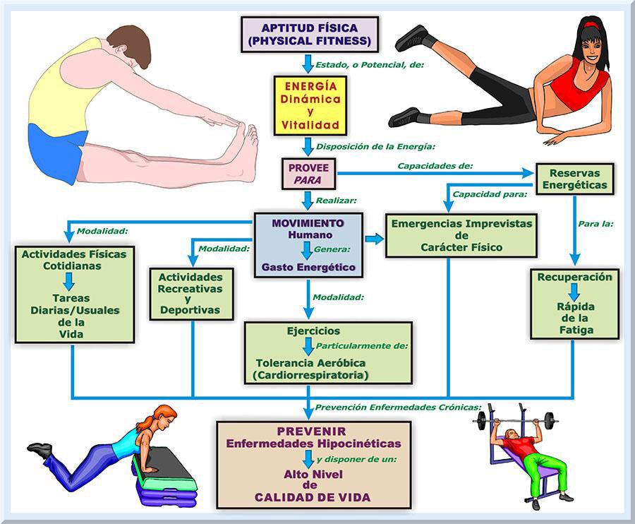 Importancia de la coordinación interdisciplinaria en situaciones de emergencia cardíaca en la tercera edad