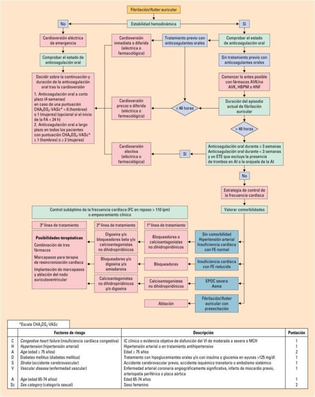 Importancia del electrocardiograma en el diagnóstico de arritmias en geriátricos.