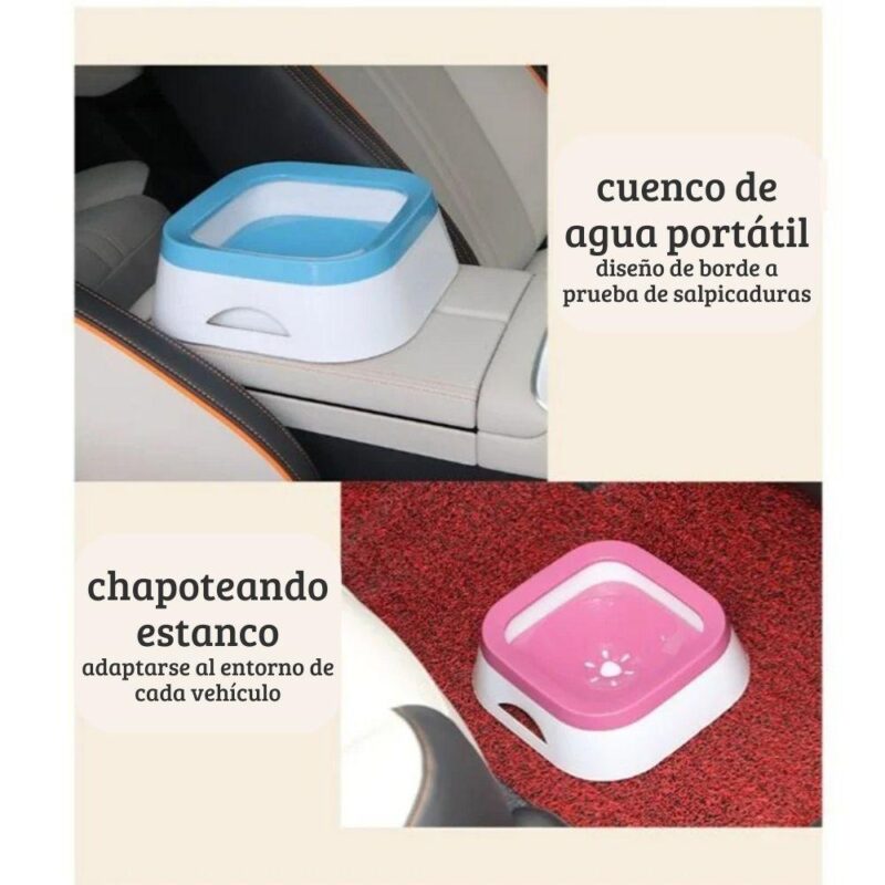 Importancia de la hidratación controlada en pacientes geriátricos con miocardiopatía dilatada.