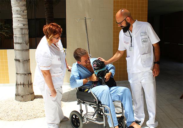 «Mascoterapia en Sonríe a la Vida: beneficios comprobados del contacto animal para mayores»