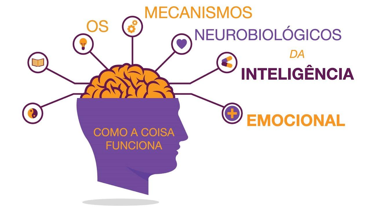 Mecanismos neurobiológicos que⁢ respaldan la relación entre el sueño profundo ⁢y la prevención del Alzheimer
