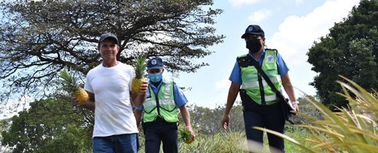 «Guía para visitas productivas en Sonríe a la Vida: más allá de sentarse a conversar»